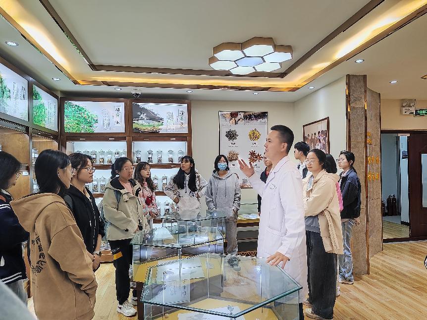 中药公司13